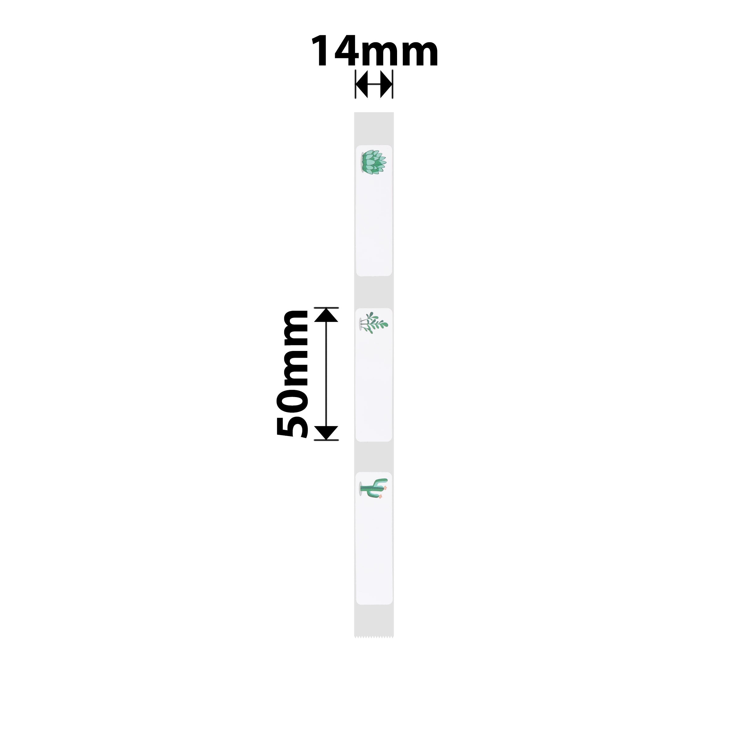 NB164 - NIIMBOT - D11 / D101 / D110 / H1S - 14X50MM - 130 SUCCULENT A LABELS