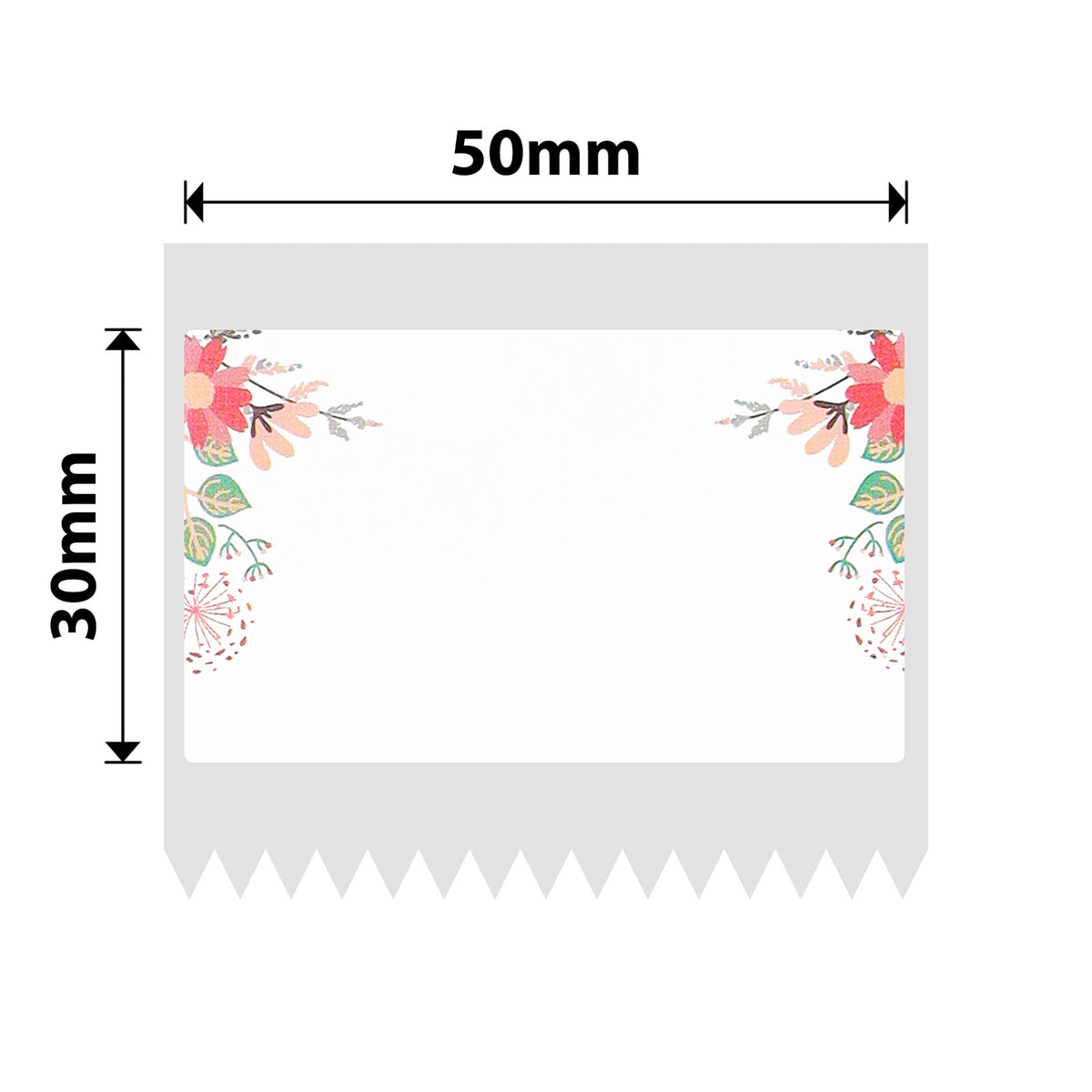 NIIMBOT - B Range - 50x30mm - Spring - 230 Labels