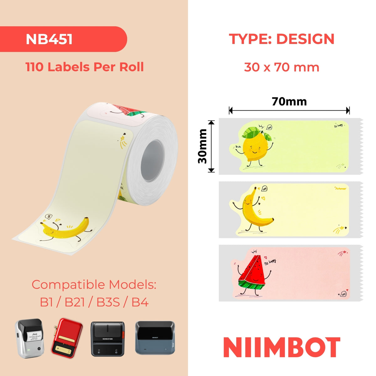 NIIMBOT-Gamme B-30x70mm-Fruity Party-110 étiquettes