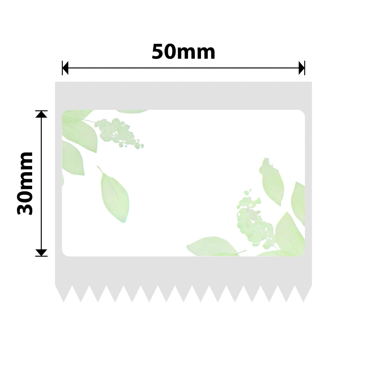 NIIMBOT - B Range - 50x30mm - Green Leaf - 230 Labels