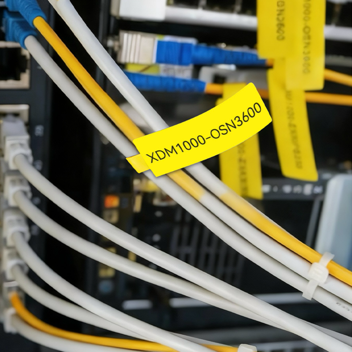NIIMBOT-M Gamme-25 x 38 + 40 mm-Câble jaune-80 étiquettes