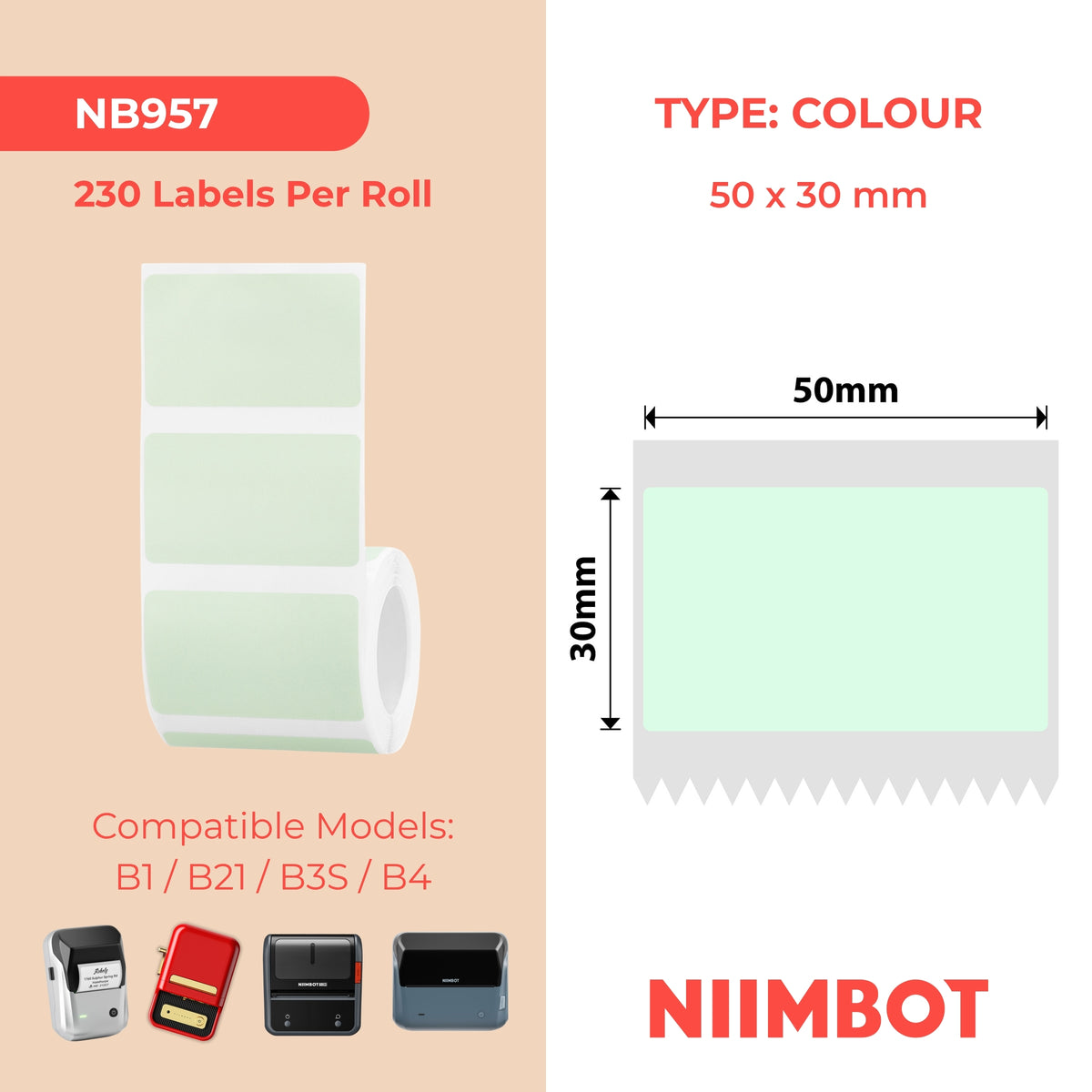 NIIMBOT-Gamme B-50 x 30 mm-Vert clair-230 étiquettes