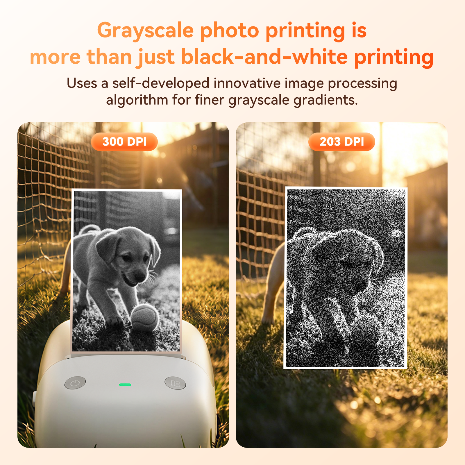 NB808 - NIIMBOT - B2_PRO - 300DPI - PORTABLE THERMAL LABEL PRINTER INCL FREE LABEL