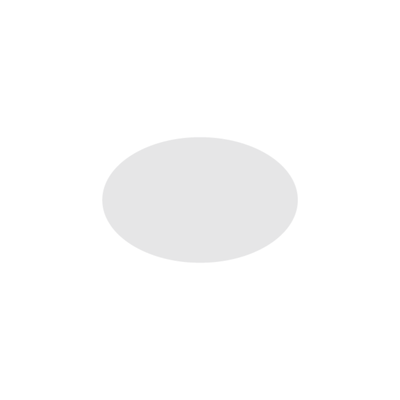 NIIMBOT - M2 / M3 - 30X20MM - 345 SILVER LASER HOLOGRAPHIC OVAL LABELS
