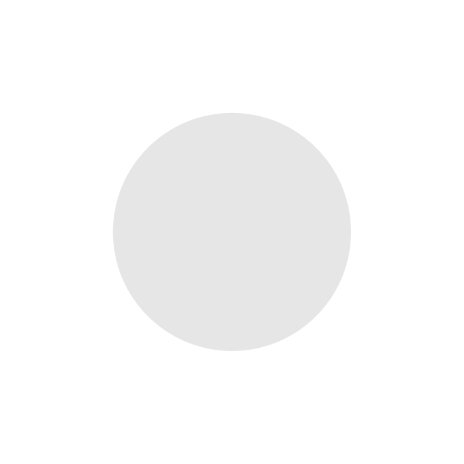 NIIMBOT - M2 / M3 - 50X50MM - 150 SILVER HOLOGRAPHIC LASER ROUND LABELS