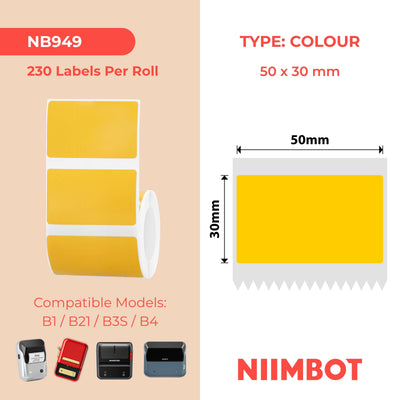 NIIMBOT-Gamme B-50 x 30 mm-Orange-230 étiquettes