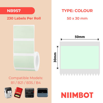 NIIMBOT-Gamme B-50 x 30 mm-Vert clair-230 étiquettes